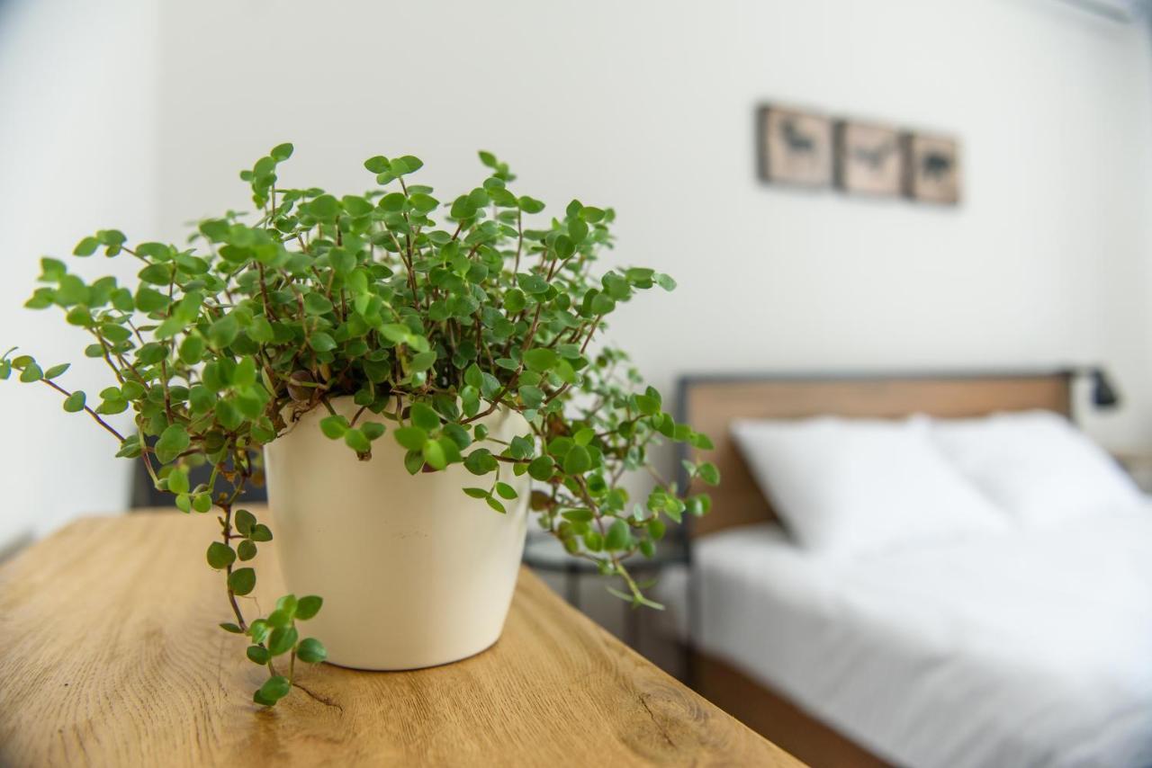 Tamtam Urban Aparthotel Cluj-Napoca Eksteriør bilde